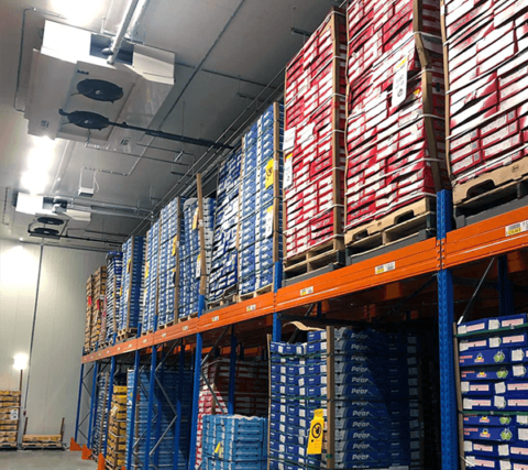 Tiefkühletiketten Magnete Regaletiketten mit Barcode ONE2ID